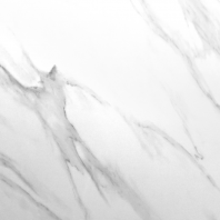 SP848 Bianco Carrara   T