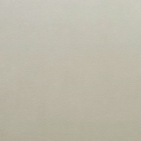 SP858 Microcement Grey   T