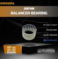 Balancer Bearing 2557180