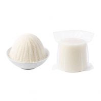 Milk Flavour Bingsu Snow Ice Blocks 2L