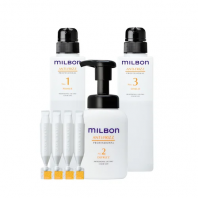 Milbon Anti-Frizz Professional Treatment