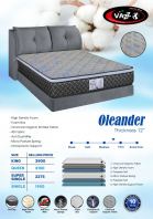 Oleander 12-Inch Chiropractor Support Mattress