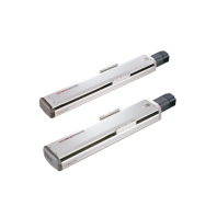 ESK Series Linear Actuator-Semi-sealed Ball Screw Type