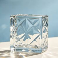 Patterned Glass Block Model-1