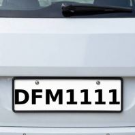 Four Digit Plate Number | DFM1111