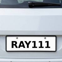 Three Digit Plates Number | RAY111