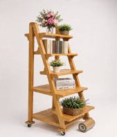 Timber Ladder