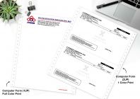 One Color Or Full Colors Computer Form Printings