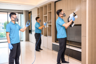 Formaldehyde & VOC Removal Formaldehyde & VOC Removal