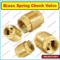 ������ֹ�ط���Heavy-Duty Brass Spring Check Valve