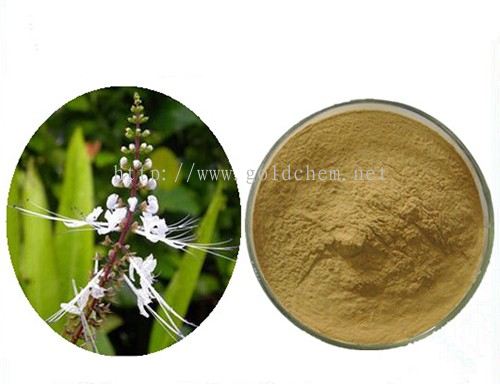 Penang,Seberang Jaya Misai Kucing Extract Powder Herbal Base from 