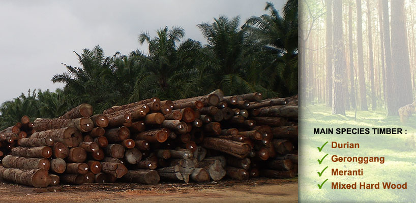 Industri Perkayuan Peserai (M) Sdn Bhd