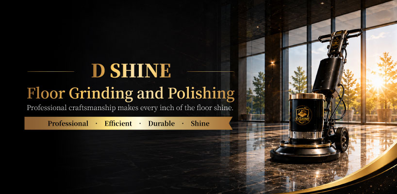 D Shine Success Enterprise Cover Picture