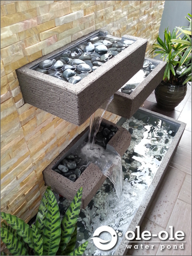 Beautifull Kolam  Ikan Hiasan  Paling Baru 
