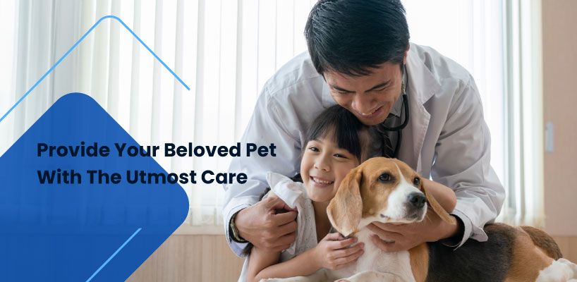 Pusat Veterinar Healing Pets Banner