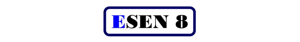 Esen Eight Auto Parts Trading