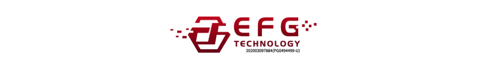 EFG TECHNOLOGY