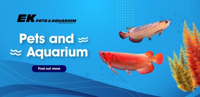 EK PETS AND AQUARIUM