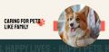 Pearl Veterinary Sdn Bhd