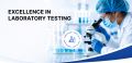 Nano Lab Analytical Sdn Bhd