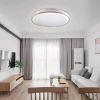 LED Ceiling Light