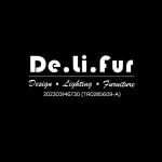 Delifur Home Concept Enterprise logo
